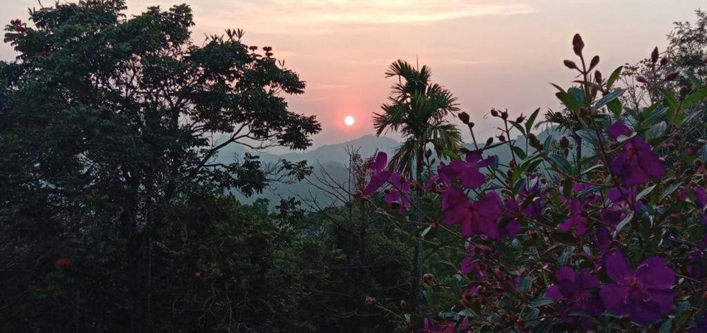 Munnar Tent Hills Resort Devikolam Экстерьер фото