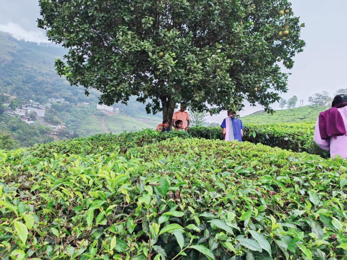 Munnar Tent Hills Resort Devikolam Экстерьер фото